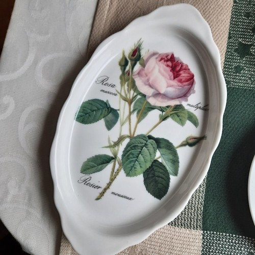 Roy kirkham redoute roses - kirkham,
